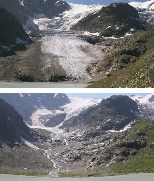 A picture comparing the Steingletscher in 1998 with the Steingletscher in 2019
